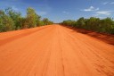 Photo of red dirt road, bush on either side, on a clear and sunny day
