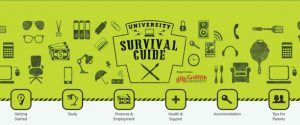 University Survival Guide