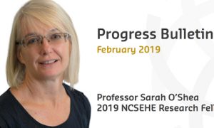 Sarah O'Shea Fellowship